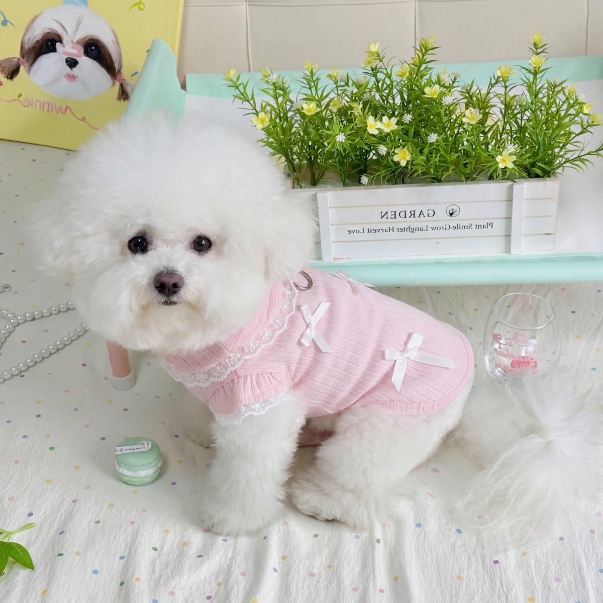 Pet Spring Lace Bow Vest Can P - Lace Teddy Lingerie incelemesi ve fiyatı